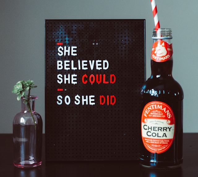 she-believed-she-could-so-she-did.jpg