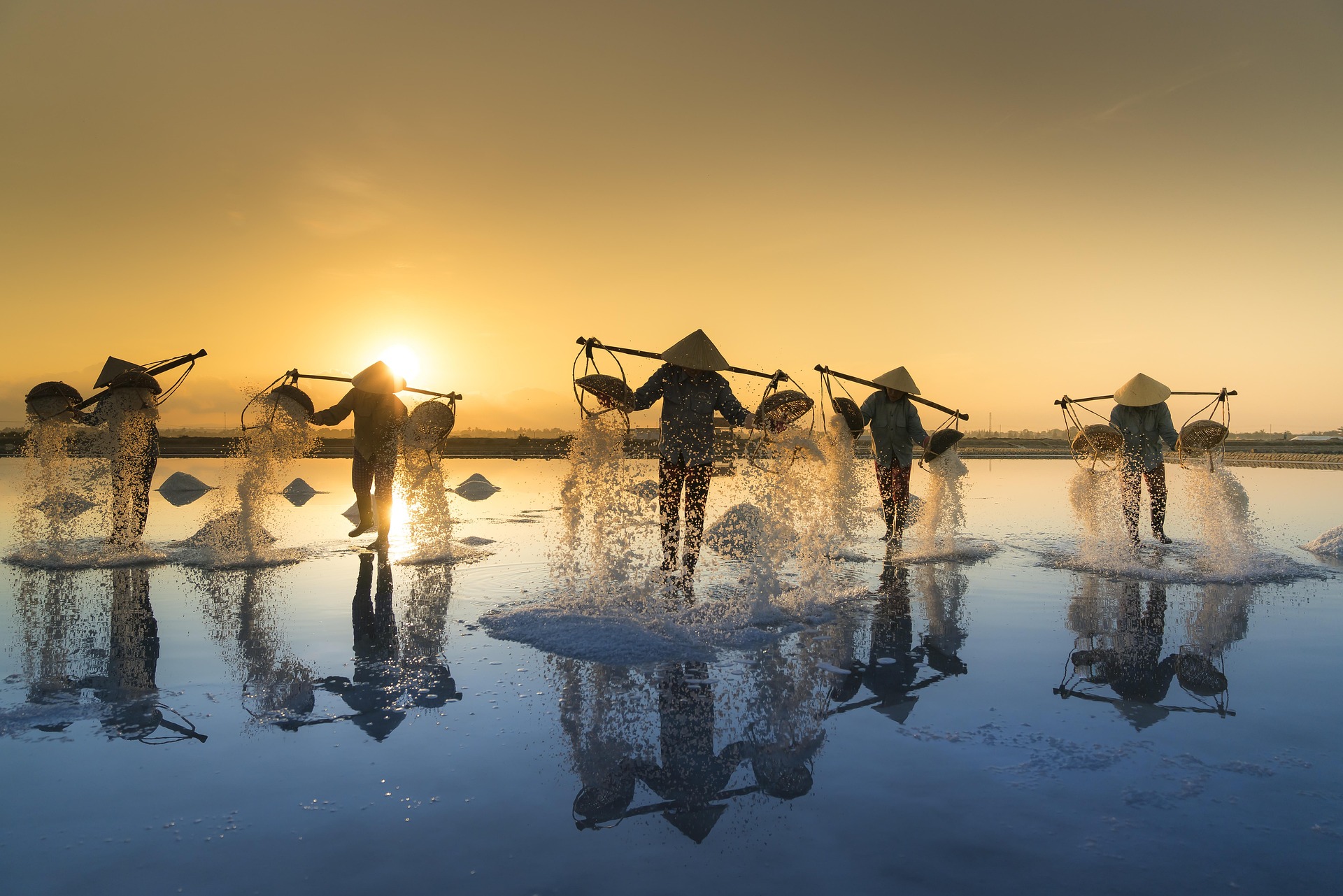 Tranh cánh đồng muối