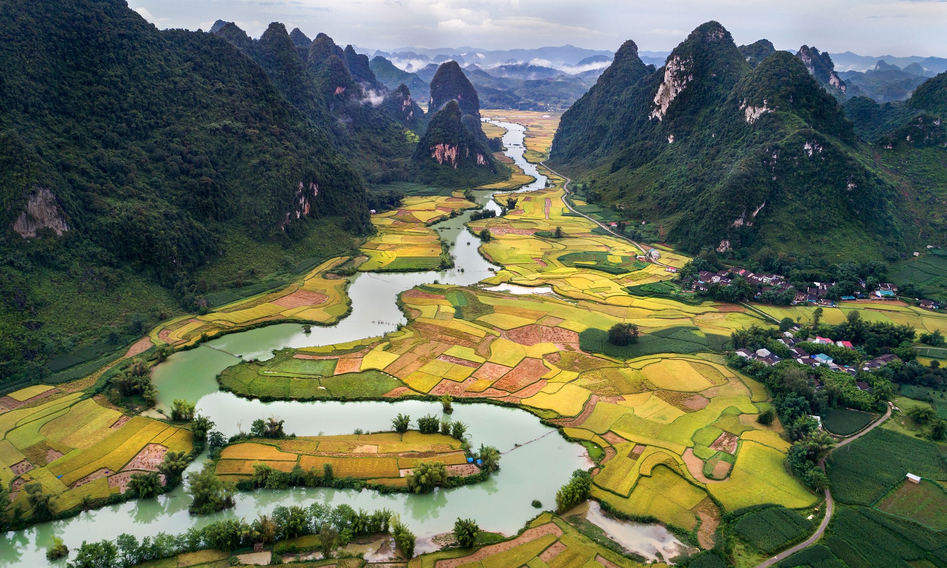 Tranh cánh đồng lúa thung lũng Bắc Sơn Lạng Sơn