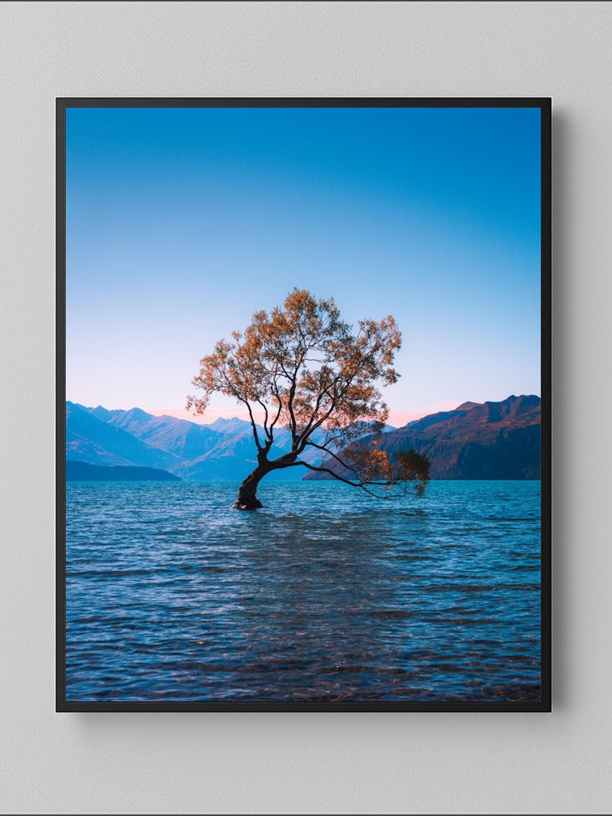 Cây cô đơn hồ Wanaka, New Zealand