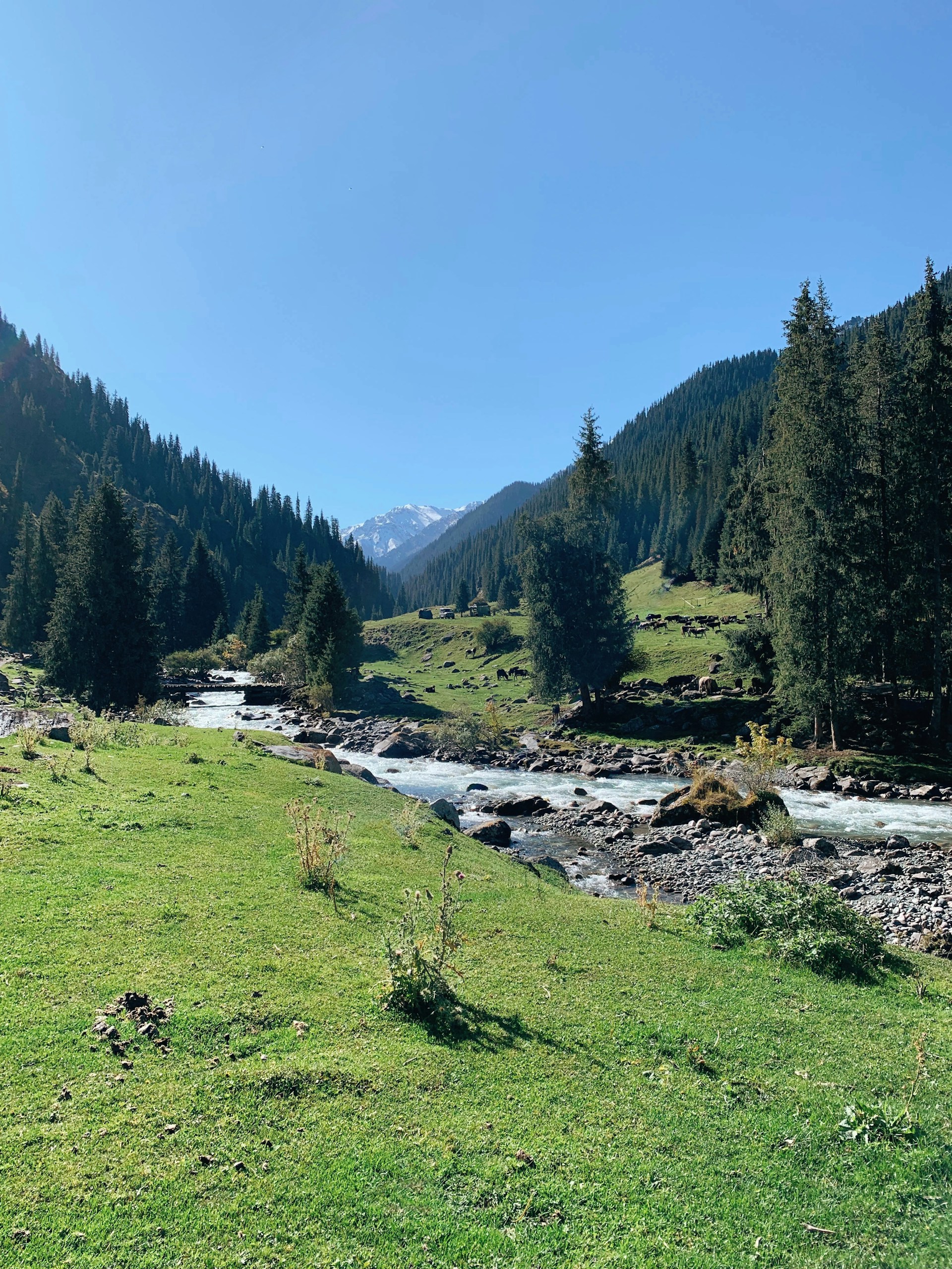 Phong cảnh thiên nhiên hoang sơ ở Kyrgyzstan